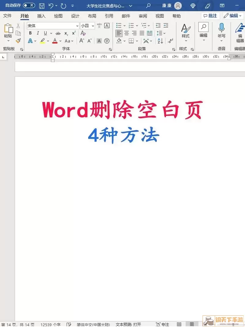 Word空白页示例